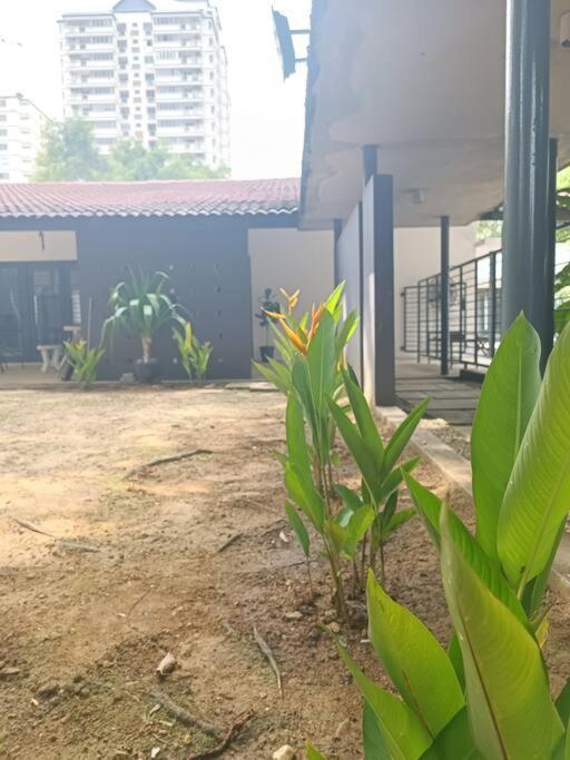 Secret Garden Pj Pool Villa Petaling Jaya Eksteriør bilde